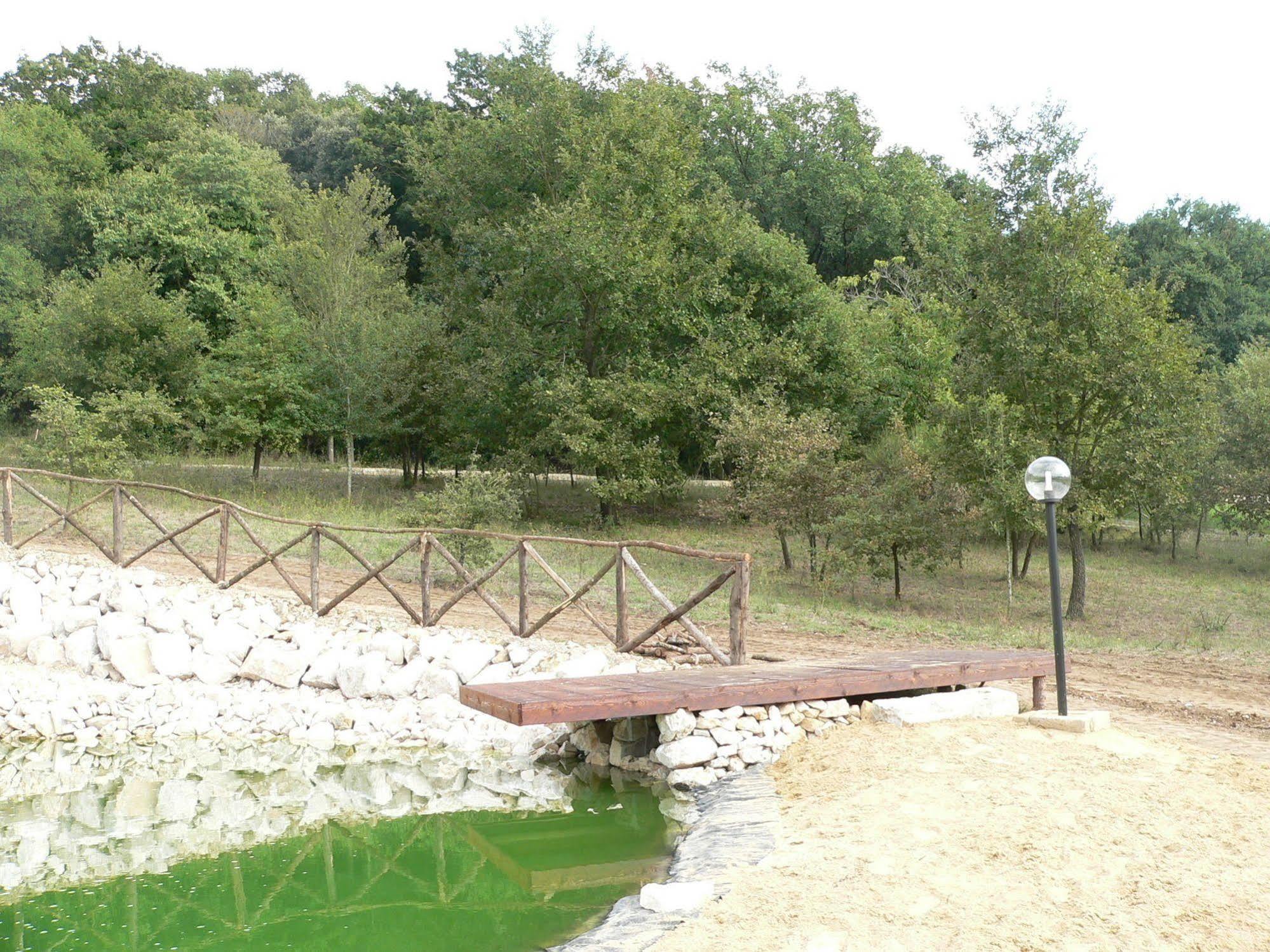 Agriturismo Il Casale Delle Ginestre ฟิวมิชีโน ภายนอก รูปภาพ
